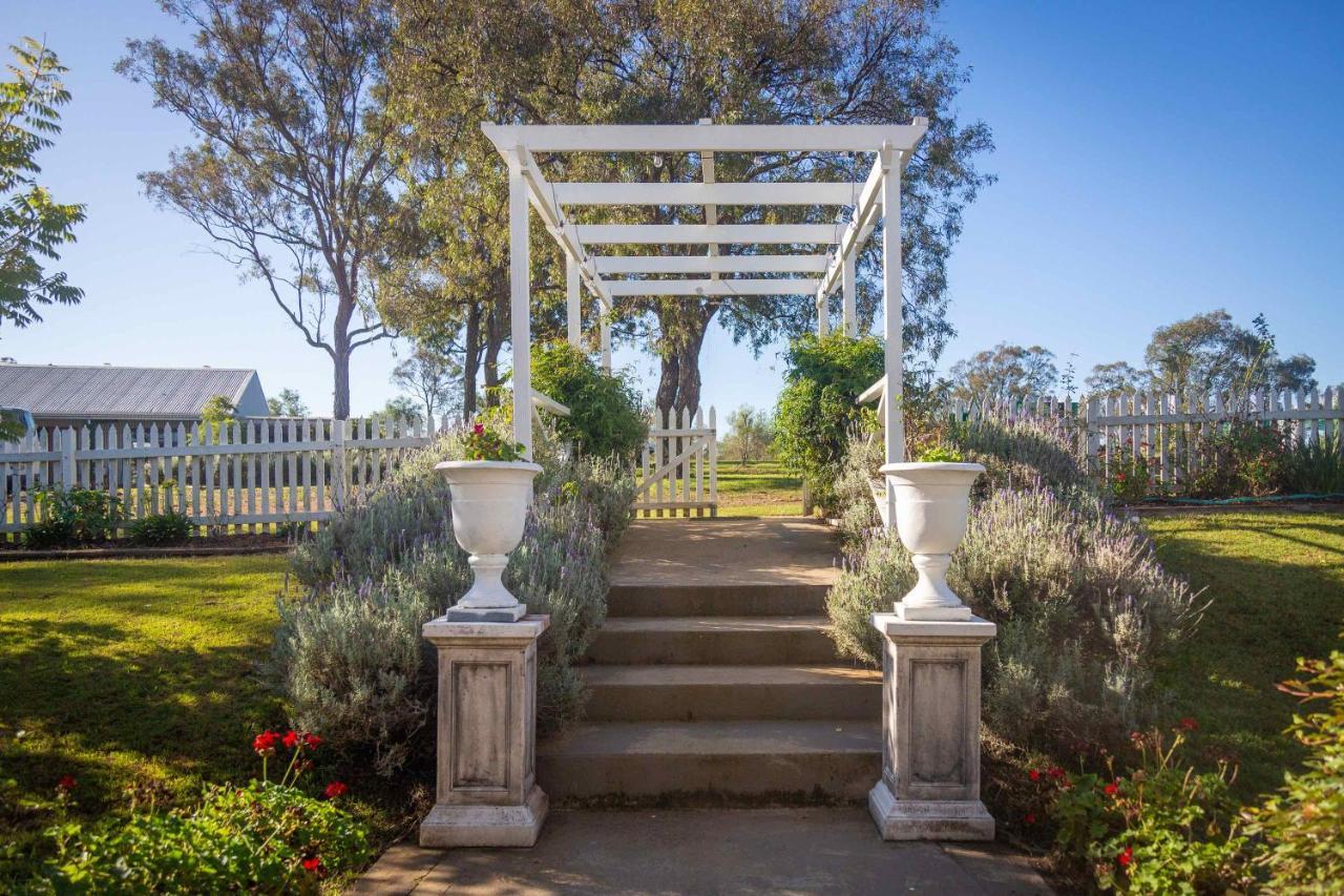 Claremont Manor Villa Lovedale Exterior photo